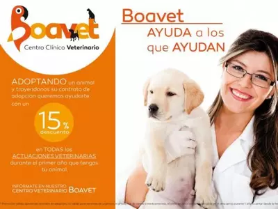 Descuento para animales adoptados