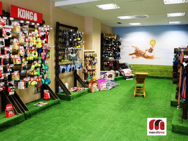 Adiestramiento canino en Villanueva