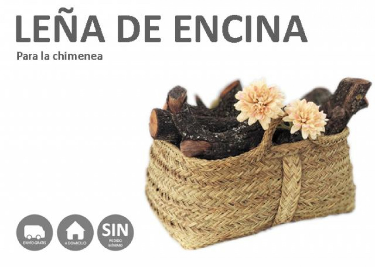 ESCUELA DE MÚSICA EMEX
