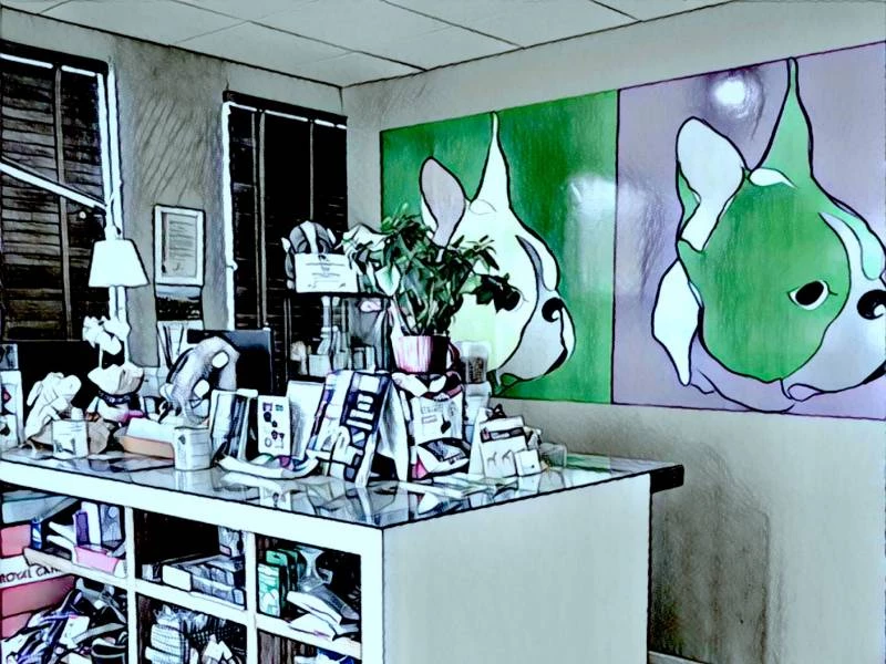 Veterinarios en Boadilla