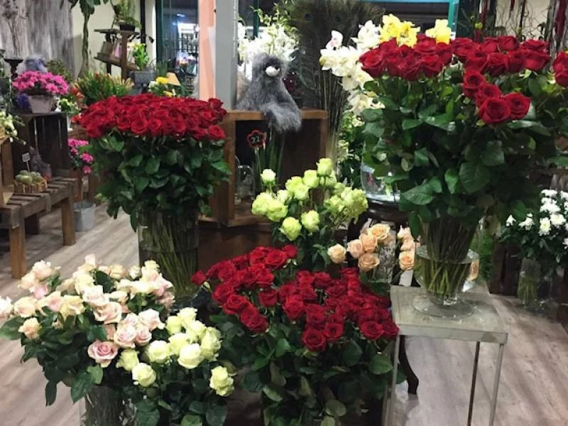 Flores y arreglos florales	