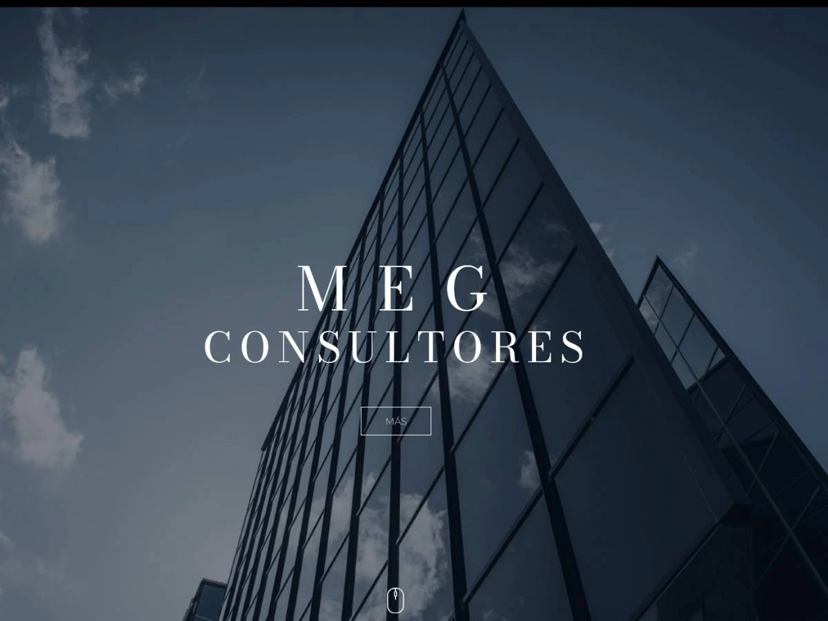 MEG CONSULTORES