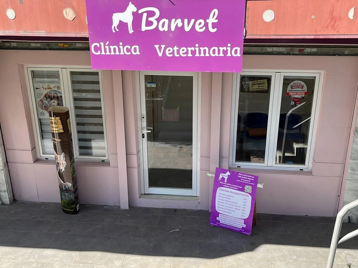 Barvet Veterinaria