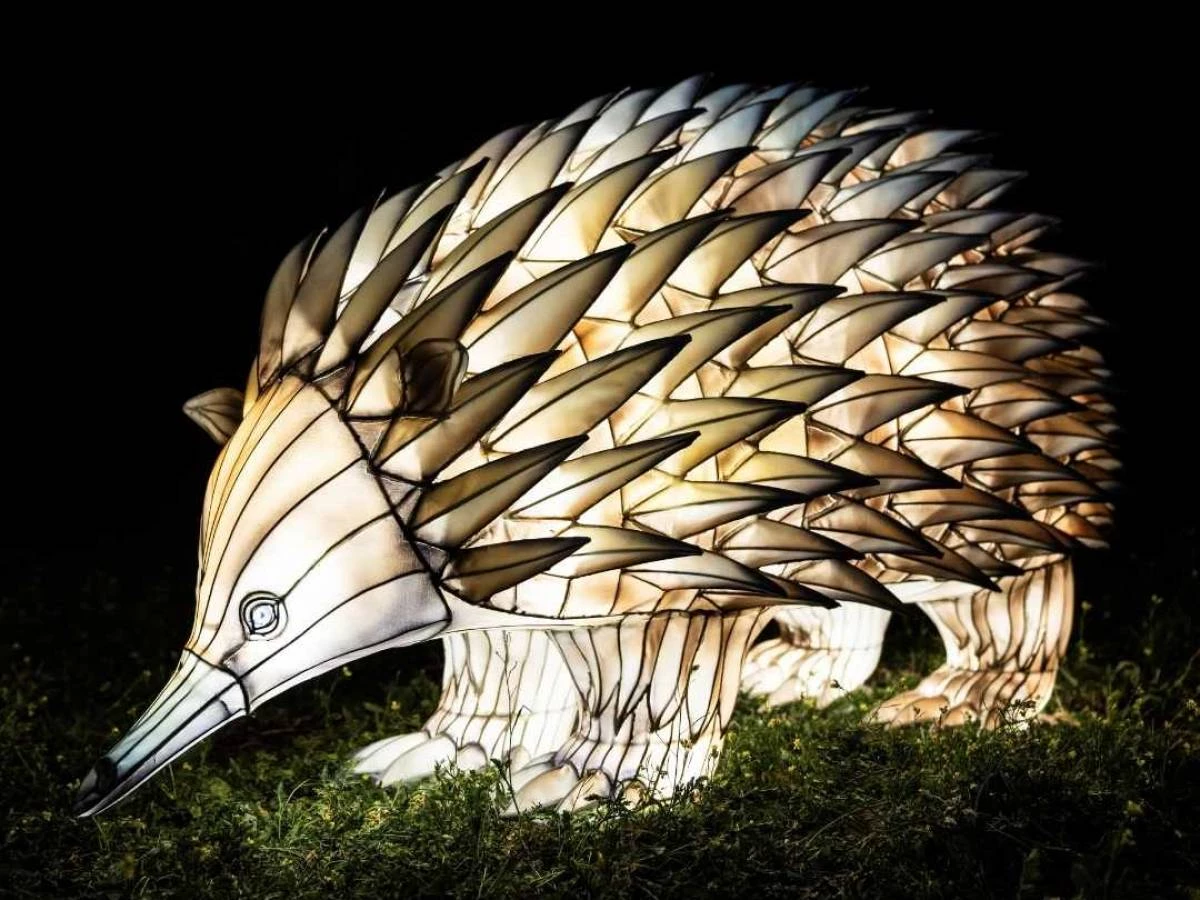 Animales del Mundo en Brilla Madrid Zoo