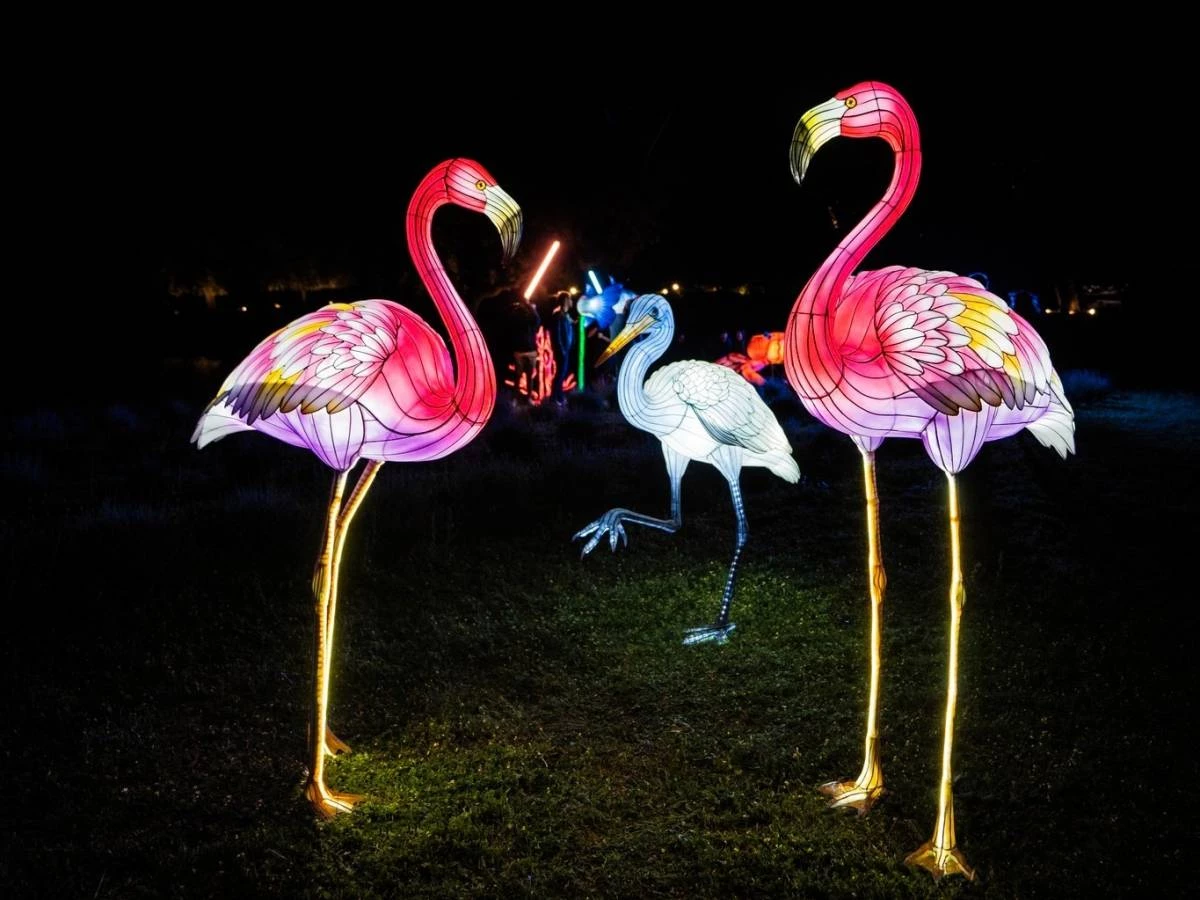 Zoo iluminado en madrid