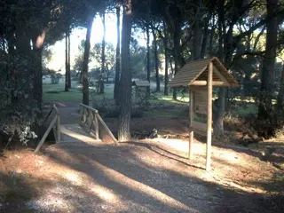 Rutas de Educación Ambiental en el Monte del Pilar para escolares

