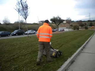 El Ayuntamiento inicia el saneamiento del césped de las zonas verdes públicas
