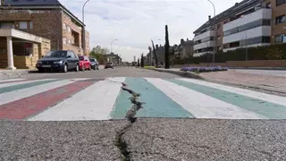 IU revindica que se investiguen responsabilidades en los desperfectos de la Avda. Príncipe de Asturias