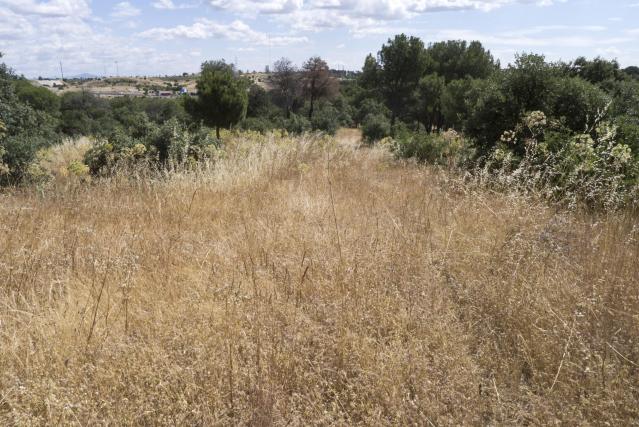 Izquierda Unida denuncia el alto riesgo de incendio de la Dehesa de Majadahonda