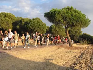 Este domingo se celebra la III Ruta Senderista Majadahonda - Madrid