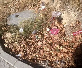 PSOE: "Vecinos de la zona Delta denuncian  que el Ayuntamiento de Majadahonda se niega a limpiar en la calle San Roque"
