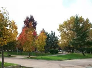 UPyD Majadahonda en contra de la “disparatada” remodelación del Parque de Colón
