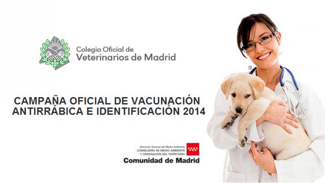Del 2 al 6 de junio, Campaña de Vacunación e identificación de animales domésticos en Majadahonda