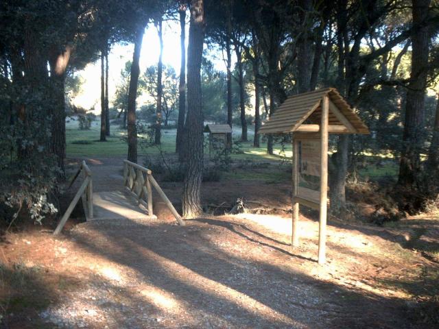 El Ayuntamiento culmina la limpieza del Monte del Pilar para prevenir incendios