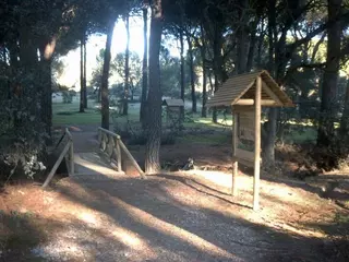 El Ayuntamiento culmina la limpieza del Monte del Pilar para prevenir incendios