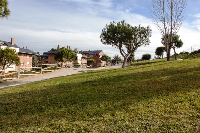 El Ayuntamiento adjudica a Valoriza el contrato de mantenimiento de parques y zonas verdes