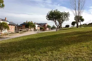 El Ayuntamiento adjudica a Valoriza el contrato de mantenimiento de parques y zonas verdes