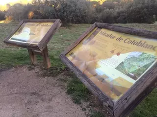 La Asociación de Amigos de los Caminos denuncia trabas para utilizar el Monte del Pilar
