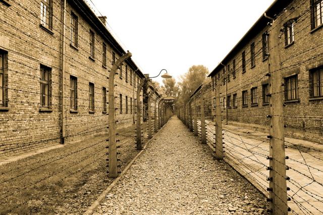 El Ayuntamiento de Majadahonda celebra un acto en memoria de las víctimas del Holocausto