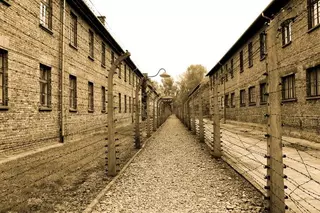 El Ayuntamiento de Majadahonda celebra un acto en memoria de las víctimas del Holocausto