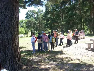 “Diversión sin barreras”, programa de ocio para personas con discapacidad en Majadahonda