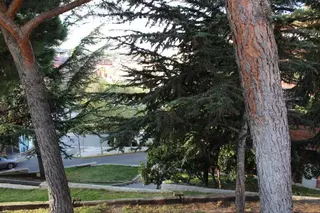 La Asociación de Vecinos de Majadahonda solicita que deje de usarse el herbicida glifosato