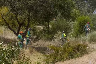 El Ayuntamiento pide colaboración a los propietarios de parcelas para evitar incendios
