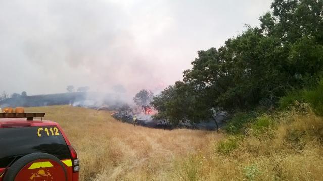 La Comunidad pide la colaboración de los ciudadanos para reducir el riesgo de incendios por las altas temperaturas