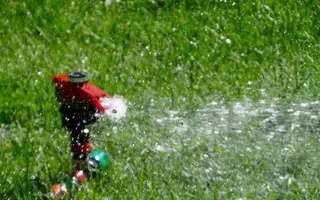 Canal Gestión recurre a imágenes por satélite para detectar posibles fraudes en el riego de jardines