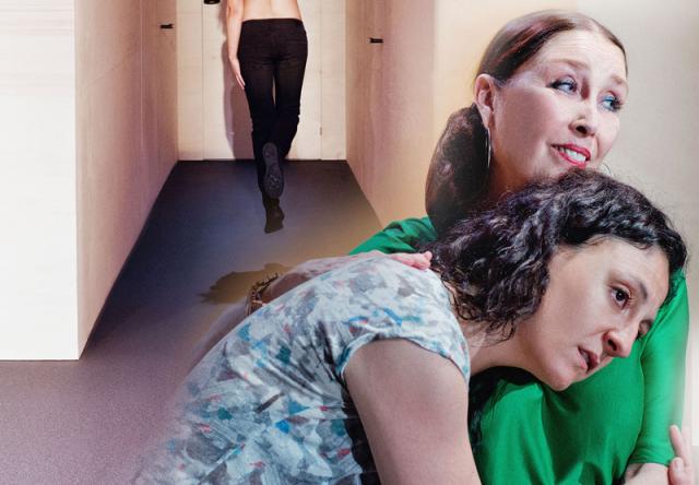 Dos obras de teatro en el cartel cultural de este fin de semana en Majadahonda