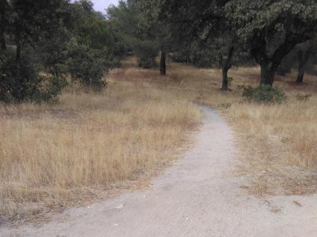 La Asociación de Amigos de los Caminos anuncia que estudiará presentar un recurso para recuperar Romanillos