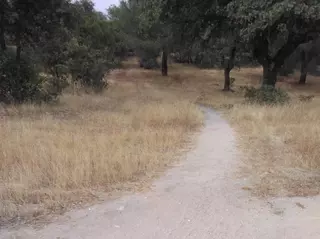 La Asociación de Amigos de los Caminos anuncia que estudiará presentar un recurso para recuperar Romanillos
