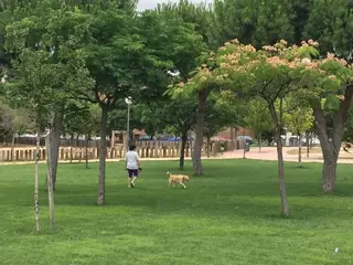 El Ayuntamiento de Majadahonda recuerda sus obligaciones a los propietarios de mascotas
