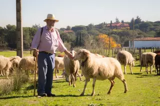 El Monte del Pilar: orgullo de todos los majariegos