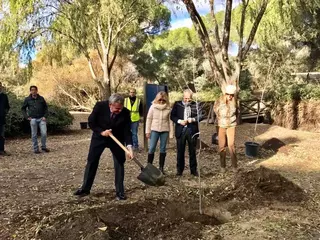 Plantación de olmos libres de grafiosis para regenerar el Arroyo de Valgrande