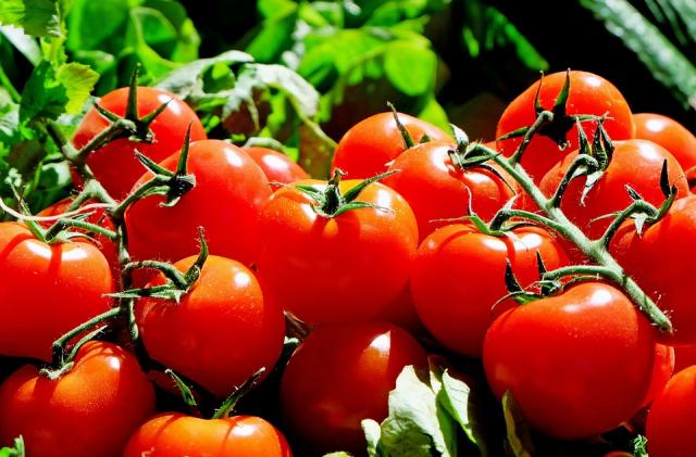 Majadahonda será el primer municipio europeo 100% 
vegetariano