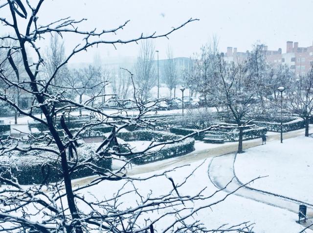 La Comunidad de Madrid activa el nivel 0 del Plan de Inclemencias Invernales