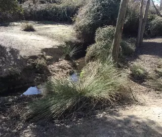 Continúa la limpieza del Arroyo Valgrande en Majadahonda para lograr la recuperación del cauce