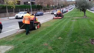 Comienza la campaña de mejora del césped de las zonas públicas de Majadahonda