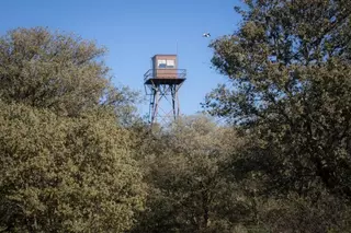 Vigilancia y prevención: claves para evitar los incendios en el Monte del Pilar