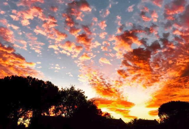 Ya podemos conocer la calidad del aire en Majadahonda en tiempo real