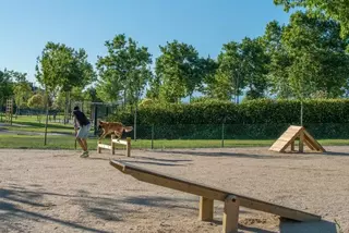 El Ayuntamiento de Majadahonda creará nuevas zonas caninas en los parques  para mejorar el control de perros sueltos