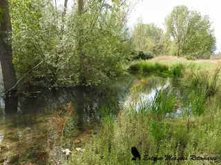 Una nueva senda ecológica conectará Casa de Campo, Pozuelo y Villaviciosa de Odón