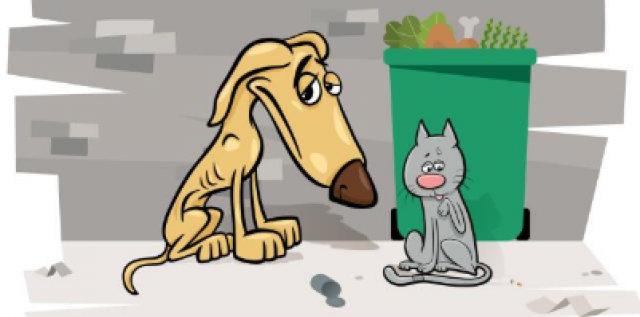El Ayuntamiento inicia una campaña para evitar el abandono de animales en verano