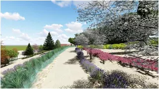 Casi 4.000 metros cuadros de zonas arbustivas y césped embellecerán el Parque de la Granja del Conde 

