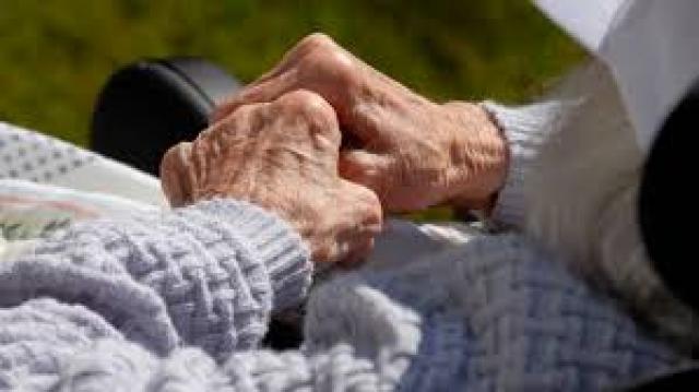 Majadahonda conmemora la Semana del Alzheimer con conferencias, talleres y una sesión de terapia con perros