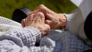 Majadahonda conmemora la Semana del Alzheimer con conferencias, talleres y una sesión de terapia con perros