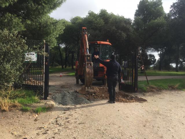 El Ayuntamiento de Majadahonda toma medidas contra los jabalíes
