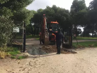 El Ayuntamiento de Majadahonda toma medidas contra los jabalíes