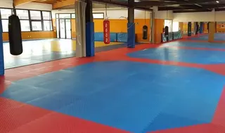 Nuevo tatami en el Centro Deportivo Cerro de la Mina